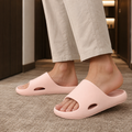 Angelini Platform Slides